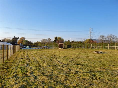 The Dog Paddock St Asaph Dog Parks Near Me