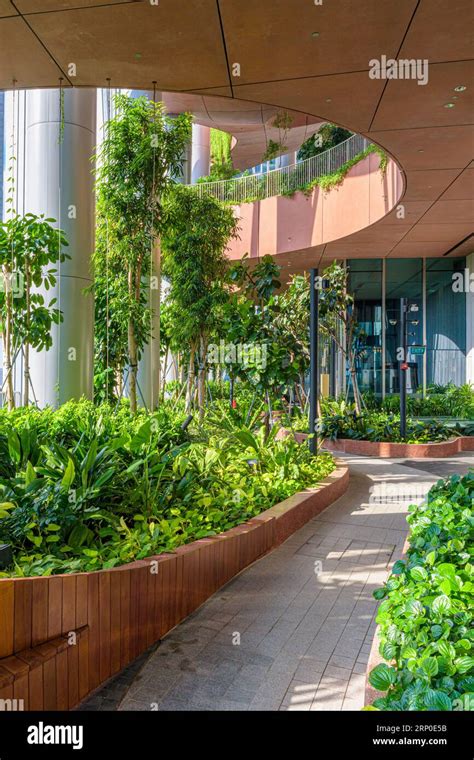 The Green Oasis High Rise Garden Occupying Floors 17 To 20 In The Eco