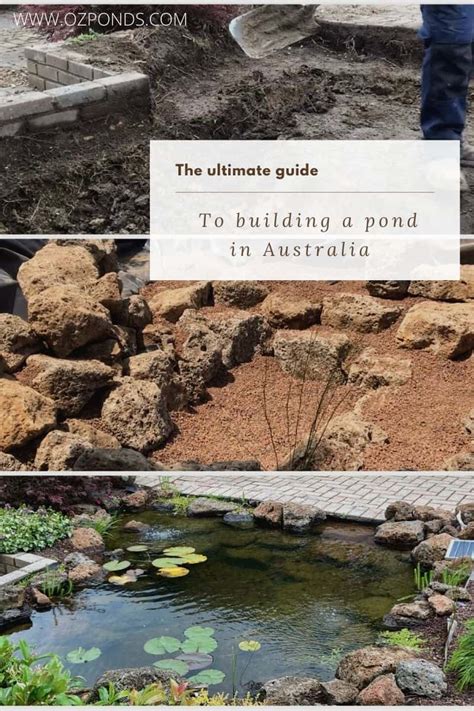 The Ultimate Guide To Building A Pond Ozponds