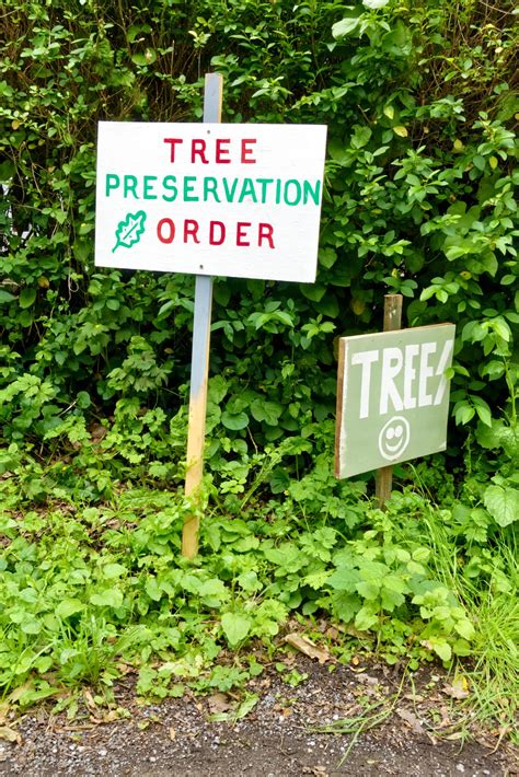 Tree Preservation Orders Tpo Icon Surveyors