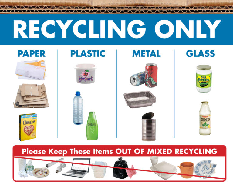 Ultimate Guide: 6 Steps To Effective Recycling