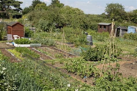 Ultimate Guide: 6 Ways To Design Your Allotment Haven Now