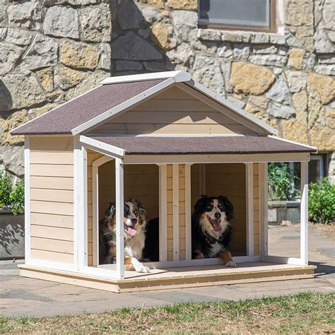 Ultimate Guide: The Perfect Dog Home Design