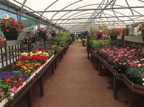 Ultimate Guide To Pro Garden Centre Visits Now