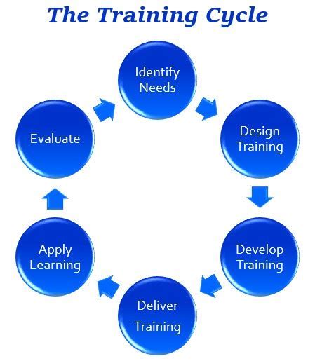 Uncover The Ultimate 5Step Guide To Basic Training Phases Now Excel Web