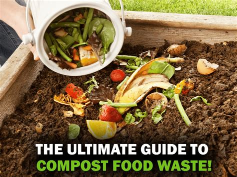 Uncover The Ultimate Composter: 6 Expert Secrets