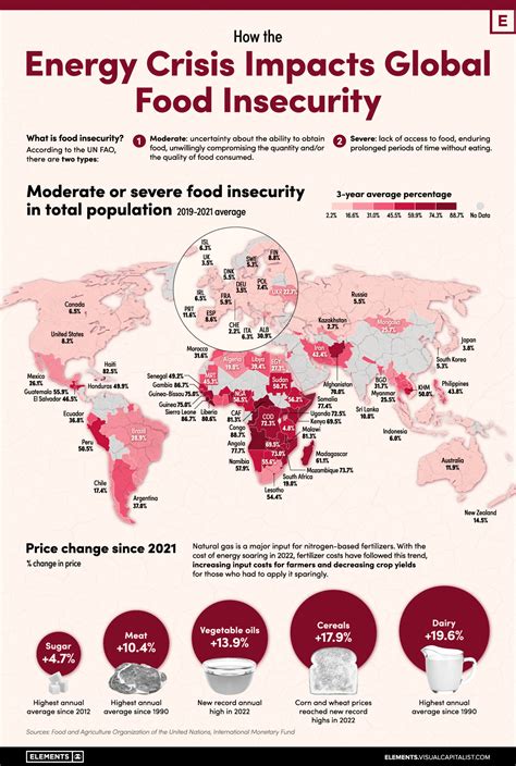 Understanding Food Insecurity: A Comprehensive Guide To The Global Issue