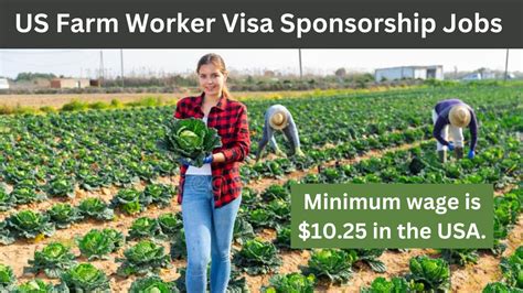 Us Farm Worker Visa Sponsorship Jobs 2023 Apply Now