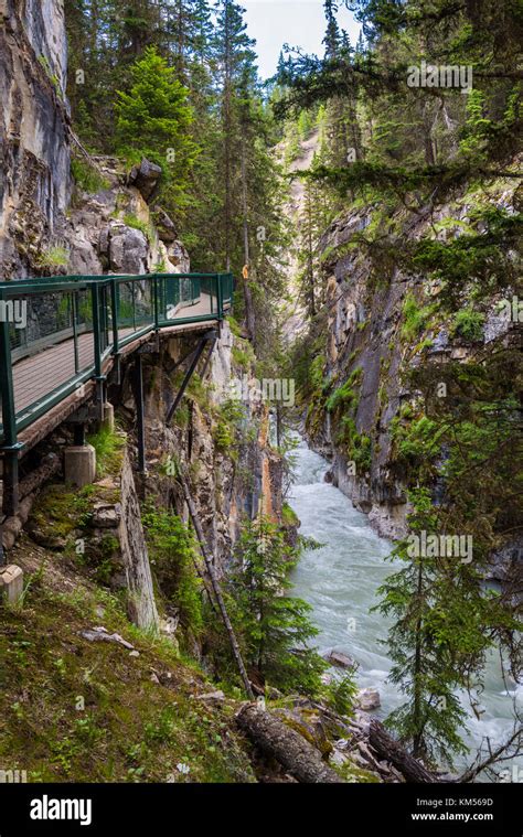 Walkway In Johnston Canyon Bow Valley Parkway Canada Stock Photo Alamy