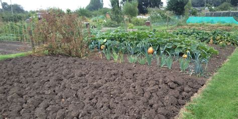 Want An Allotment In The Traditional Style This Guide Takes You