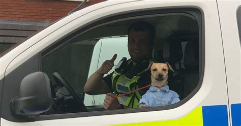 West Midlands Dog In Button Up Shirt Rescued From Drunk Owner News