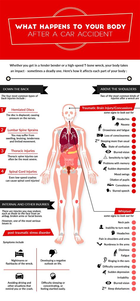 What Happens To Your Body During A Car Accident Infographic