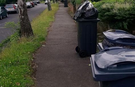 What To Do If Your Bin Collection Is Missed Croydon Conservatives