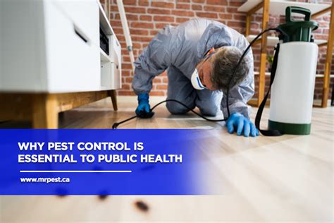 Why Pest Control Is Essential To Public Health Mr Pest Control